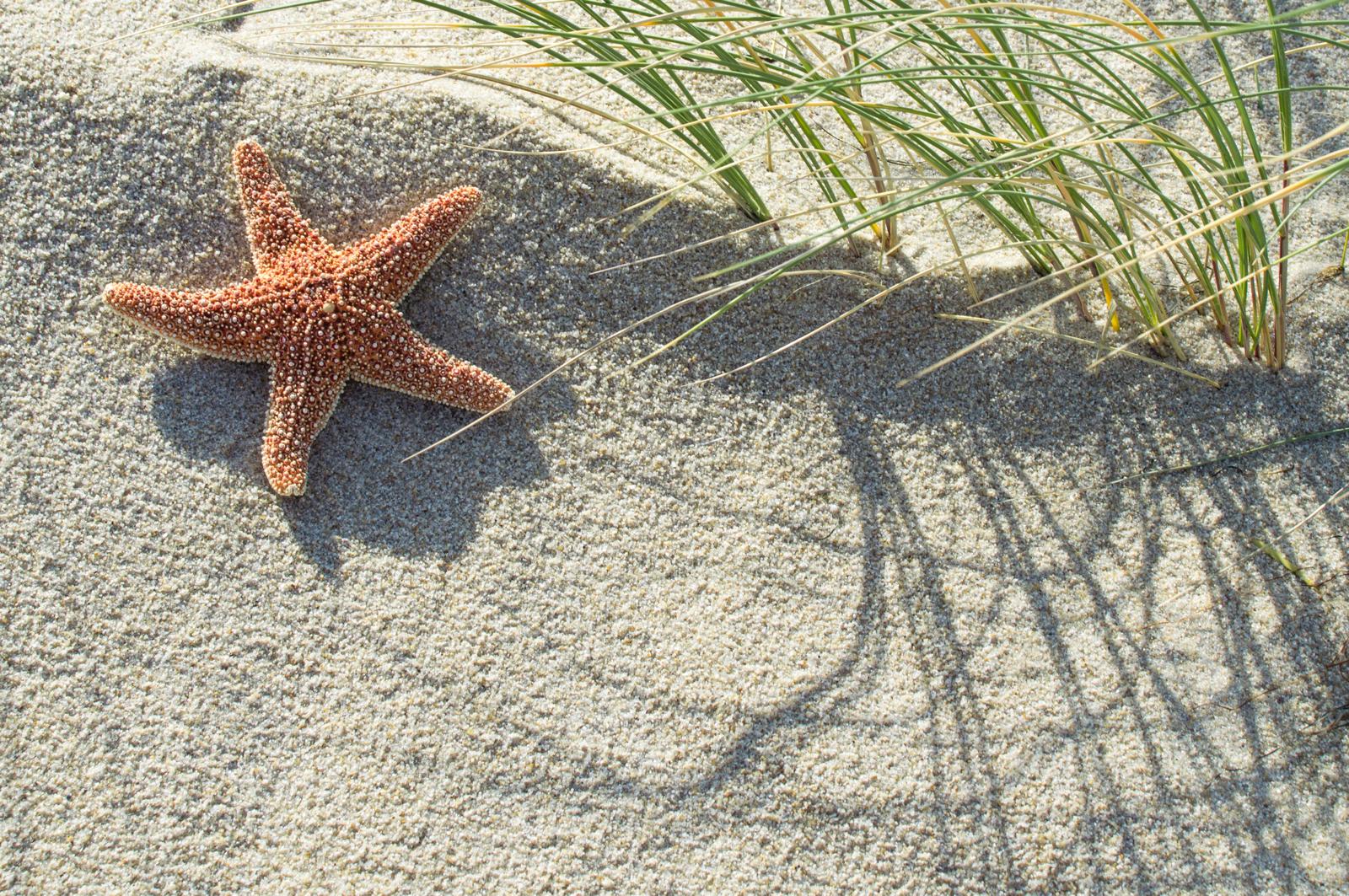 Ferienunterkünfte an der Nordsee