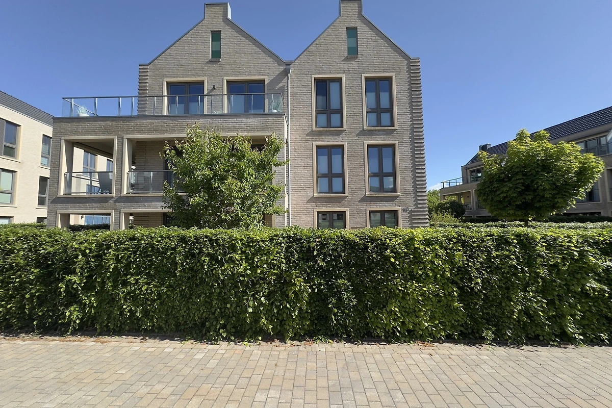 26731_48159485276571