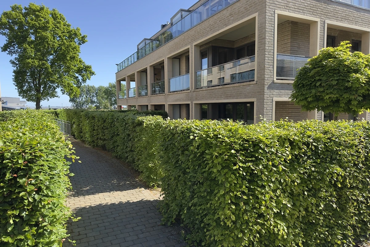 26731_69159485276571